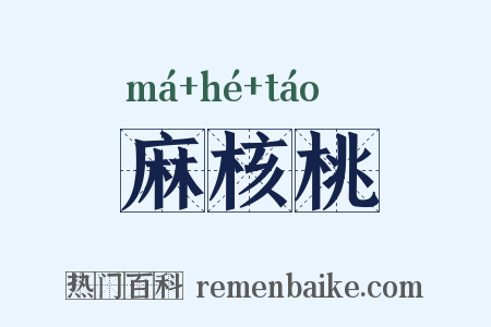 麻核桃是什么意思的图片